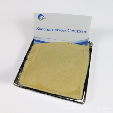 novos produtos aditivo para rações saccharomyces cerevisiae